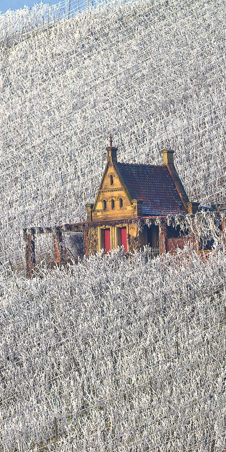 Heilbronner Wartberg im Winter